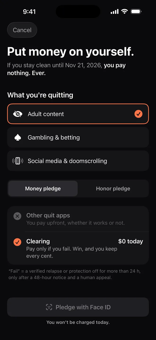 The pledge screen: put money on yourself, adult content selected